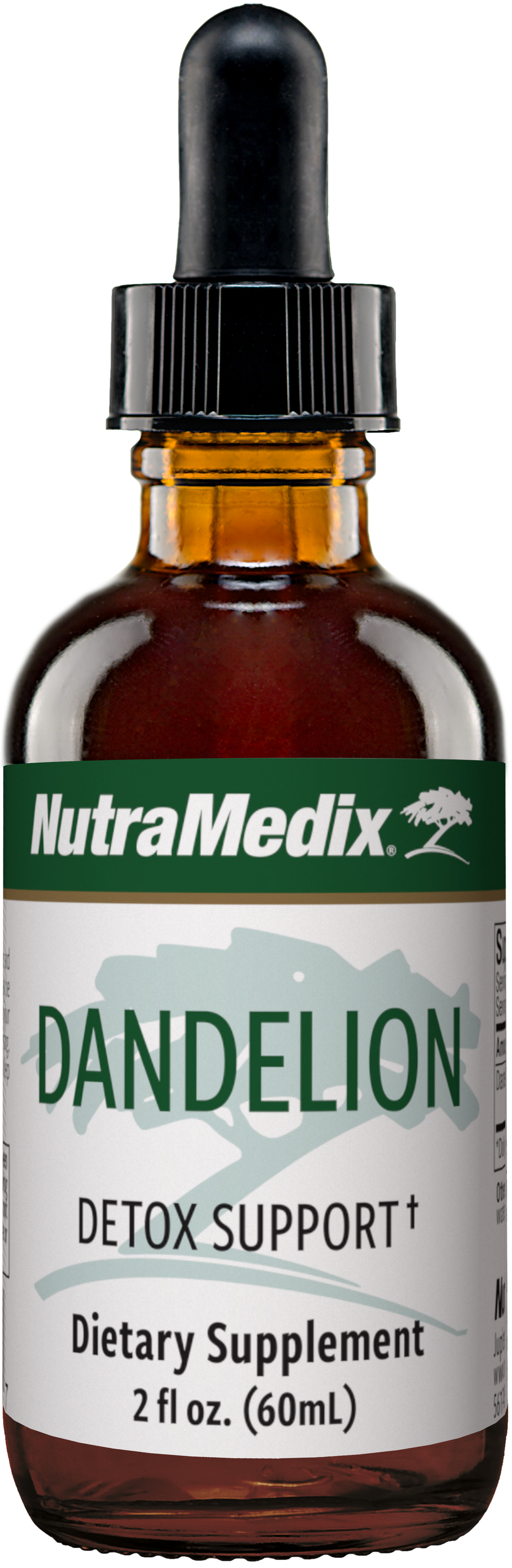 Dandelion